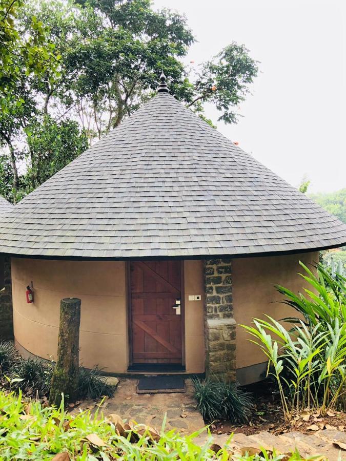 Poetree Thekkady