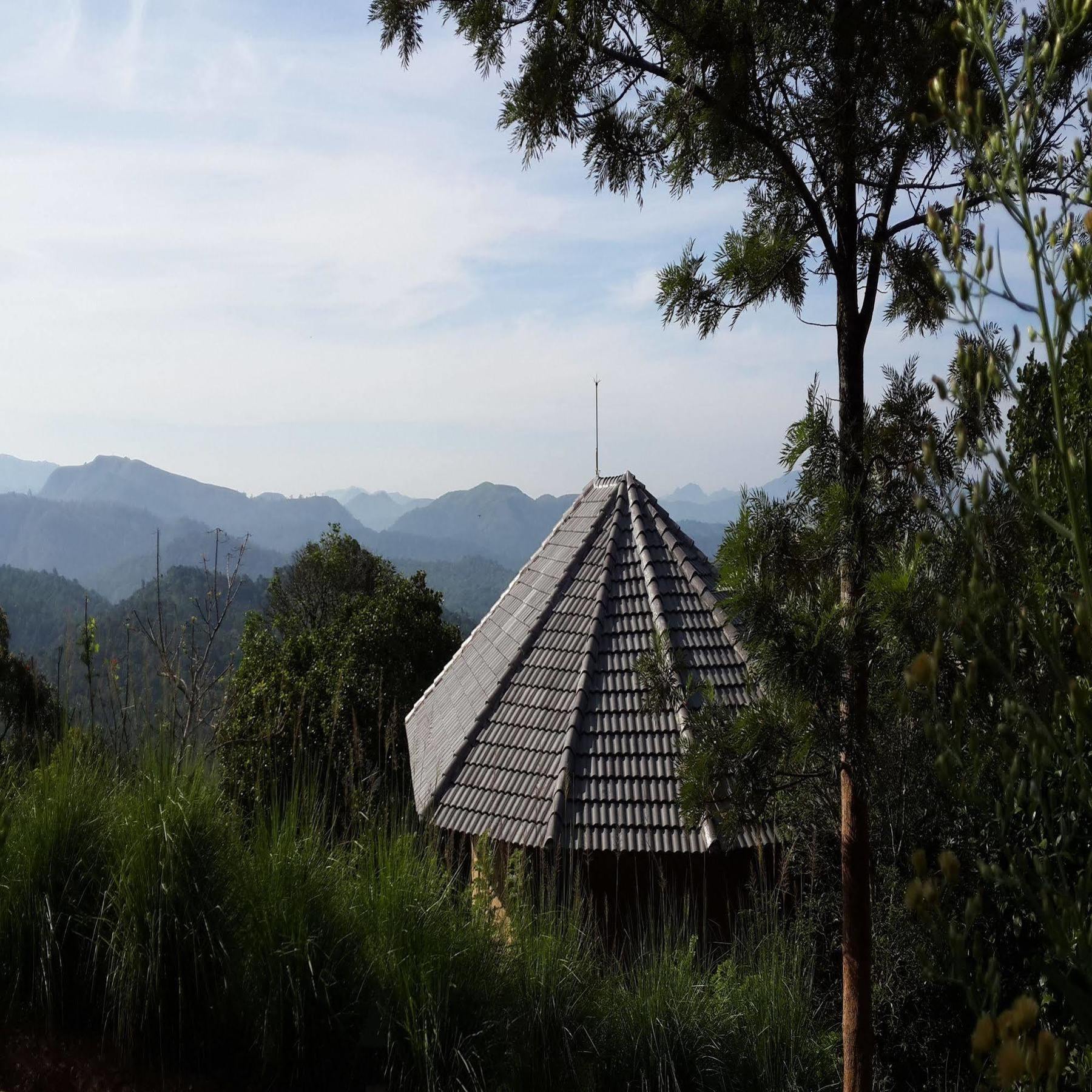 Poetree Thekkady