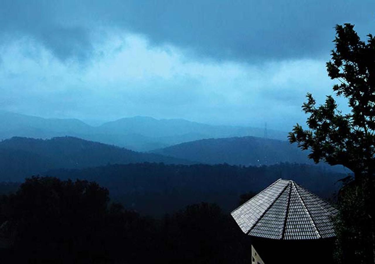 Poetree Thekkady
